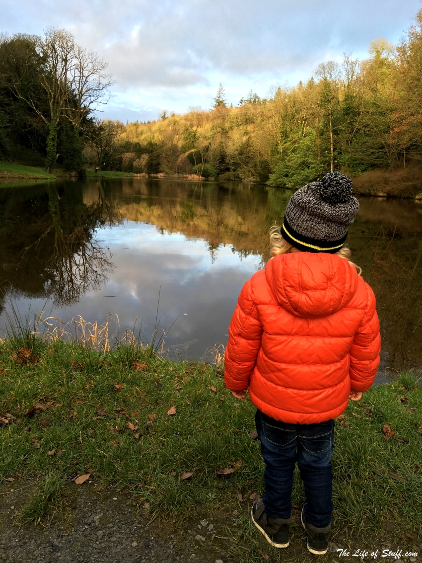 Castlecomer Discovery Park Kilkenny - For All Seasons - Smith Looking across Lake