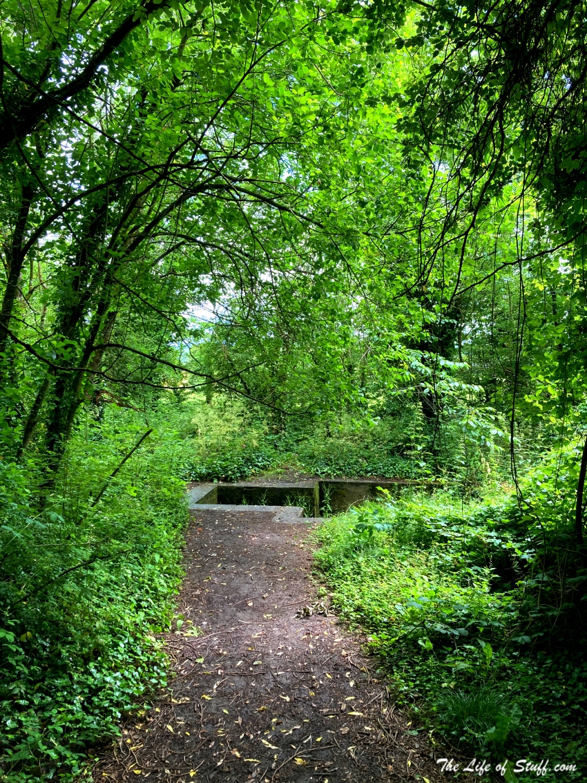 Walks and Wonderment at Jenkinstown Wood, Kilkenny - Bath