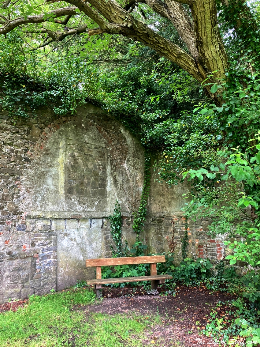 Walks and Wonderment at Jenkinstown Wood, Kilkenny - Secret Garden Seat