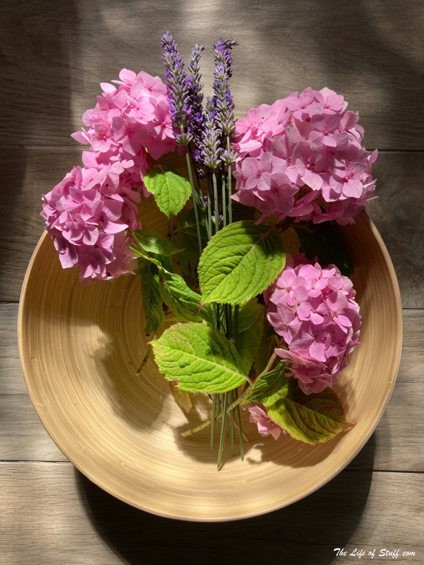 Beauty Fix - New Improved Neutrogena Hydro Boost Range - Photoshoot Flowers