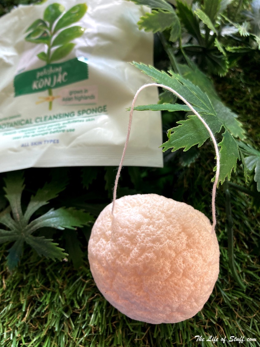 Garnier Green Beauty - 9 Nourishing Eco and Organic Products - Garnier Konjac Botanical Cleansing Sponge