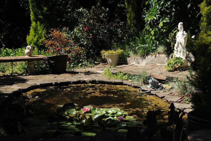6 Ways to Make The Most of Your Back Garden - Garden Wildlife Pond