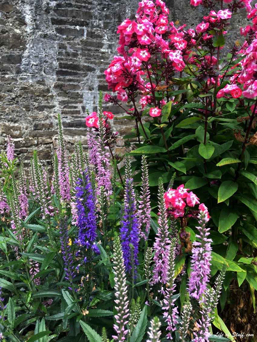 Heywood Gardens, Ballinakill, Co. Laois - Wonderful Every Season Summer Time - Full of Blooming Lupins