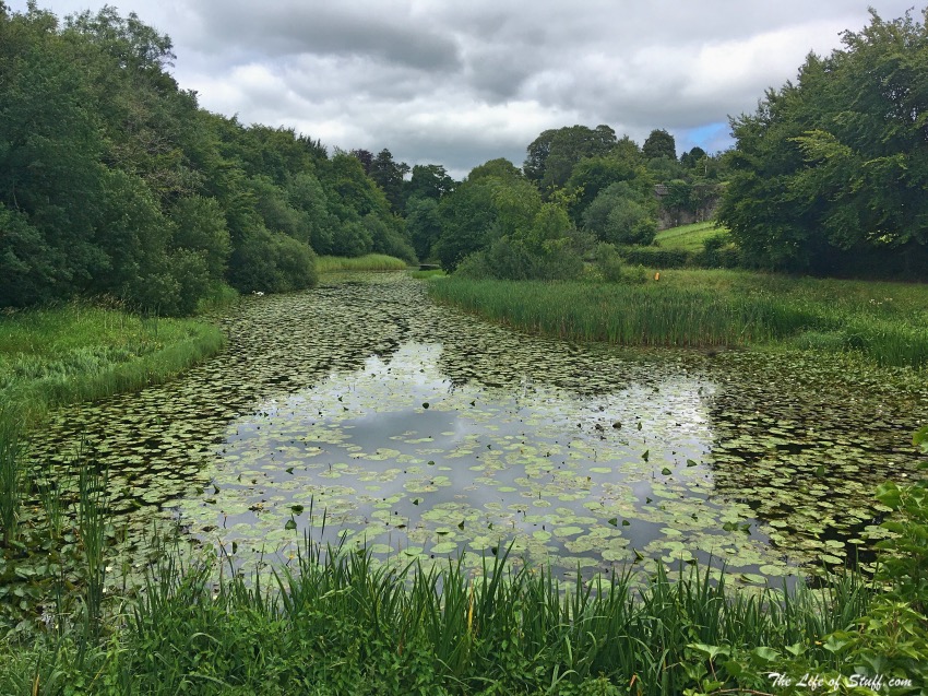 Heywood Gardens, Ballinakill, Co. Laois - Wonderful Every Season Summer Time - Man made lake bursting with lily pads