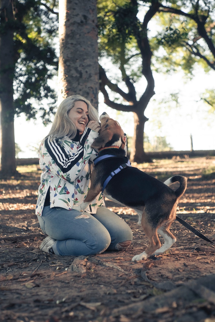 8 Wonderful Health Benefits of Getting a Dog - Increased Social Engagement