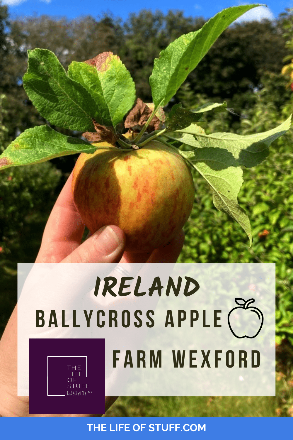 Ballycross Apple Farm Wexford - Picking Apples and Playtime - THE LIFE OF STUFF