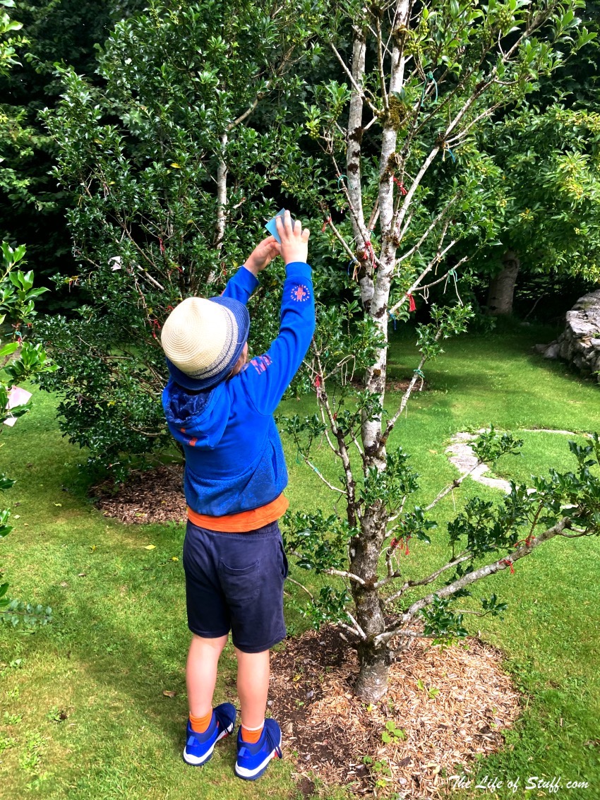 Exploring Celtic Heritage at Brigit's Garden Galway - Bealtaine Garden - Wish Tree