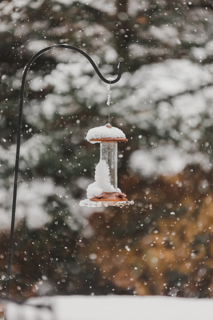 Winter Gardening - How to Care for Your Garden During Winter - Bird Feeder