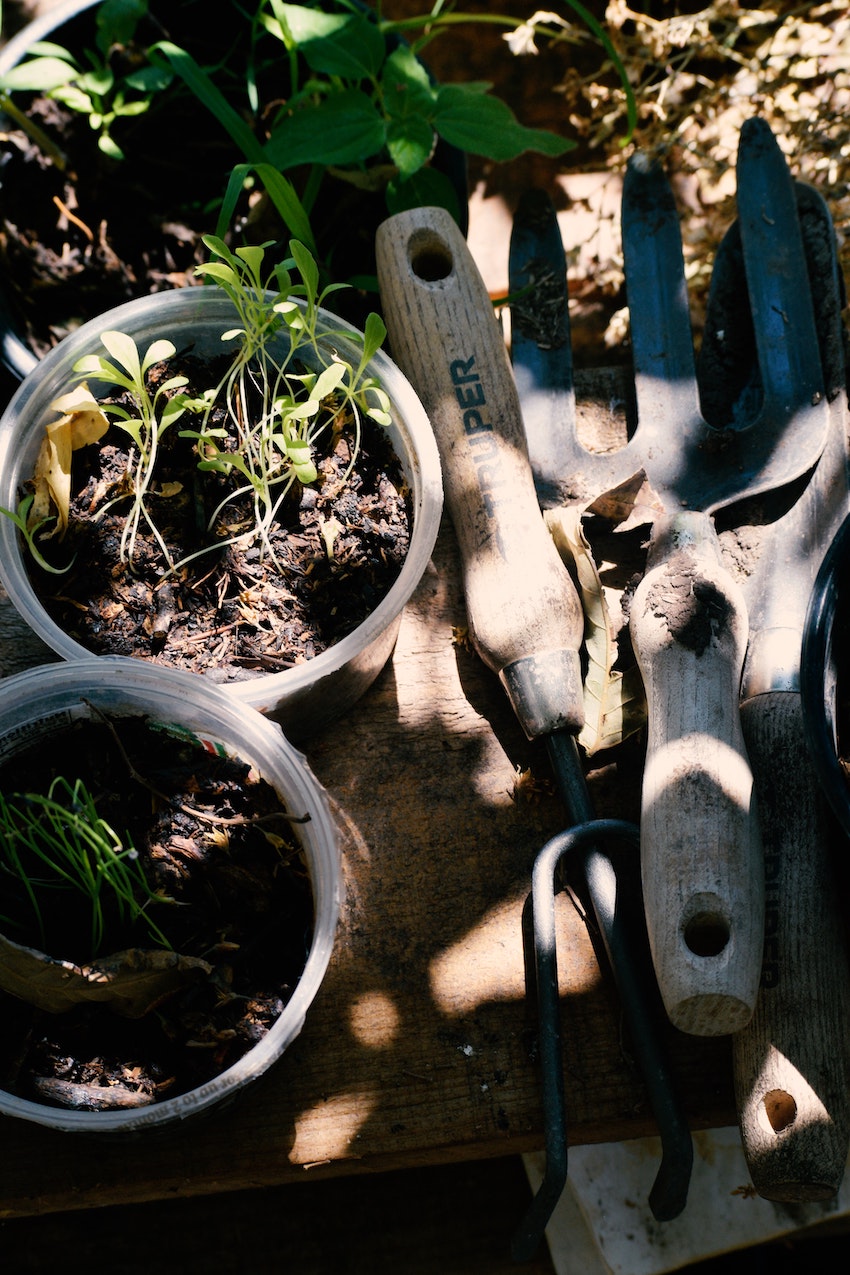 Winter Gardening - How to Care for Your Garden During Winter - Gardening tools