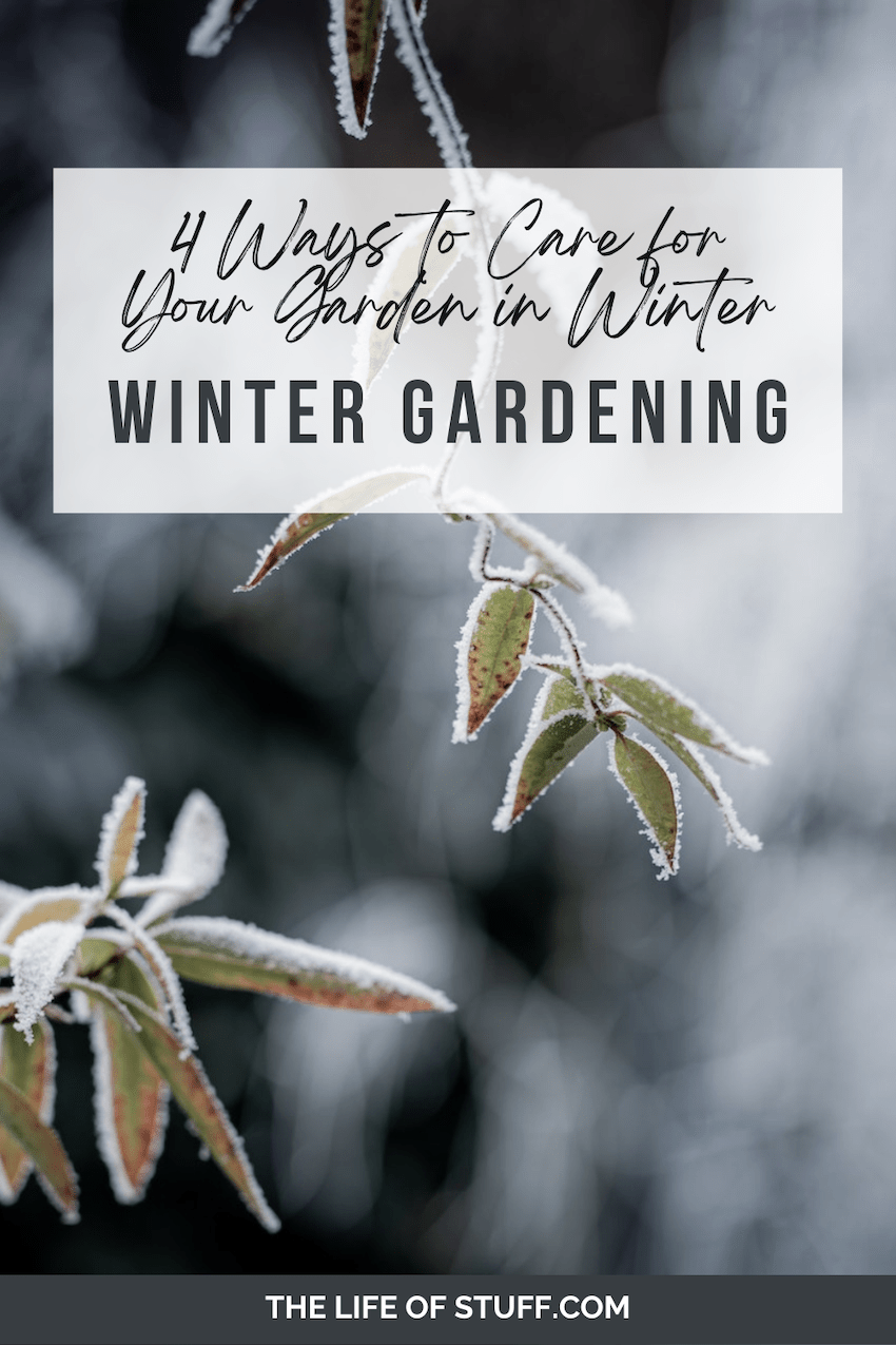 Winter Gardening - How to Care for Your Garden During Winter - The Life of Stuff
