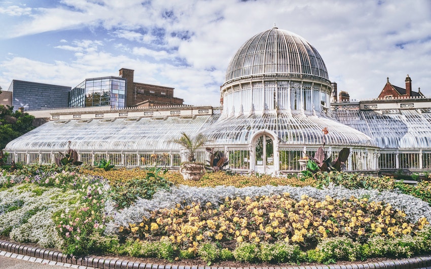 The Ultimate Guide to Art and Culture Festivals Ireland 2024 - Belfast Botanic Gardens