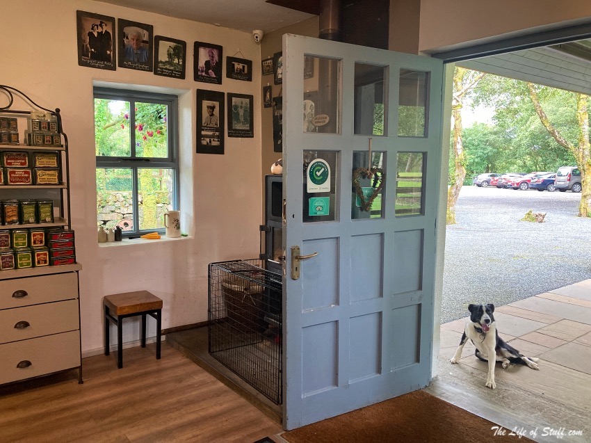 Unearth Connemara's Hidden Gem - Glengowla Mines Galway - Gift Shop and a Very Good Dog