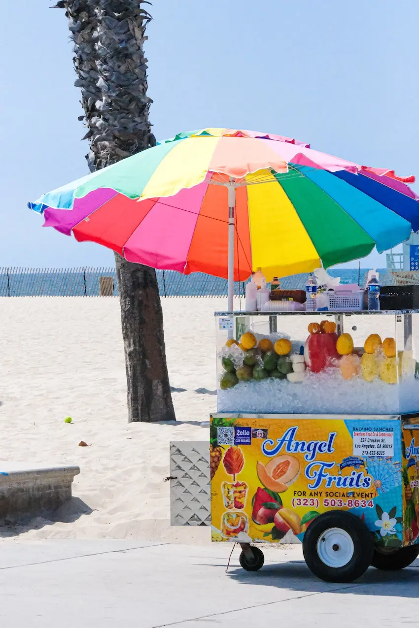 Travel 101 - How to Combine Travel with Education - Santa Monica Beach, Santa Monica, CA, USA