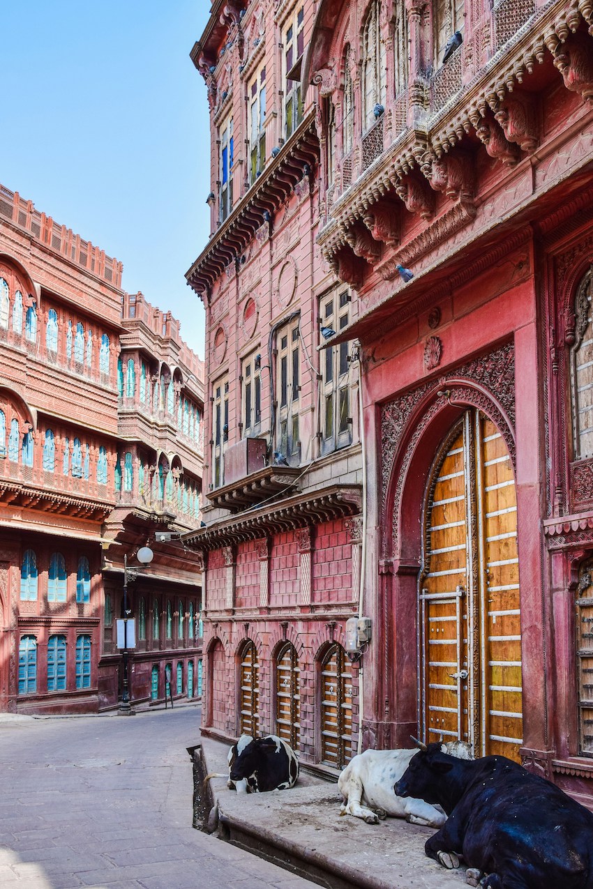 Cultural Things to Do in Rajasthan - Bikaner