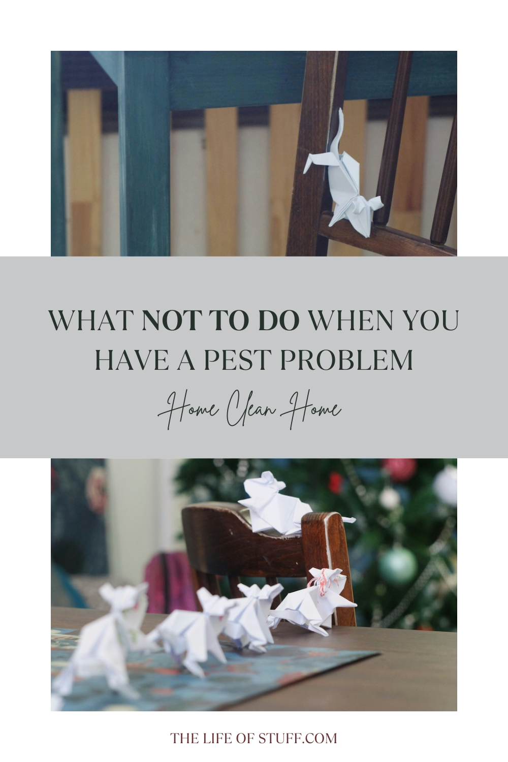 At Home - What NOT To Do When You Have A Pest Problem - The Life of Stuff